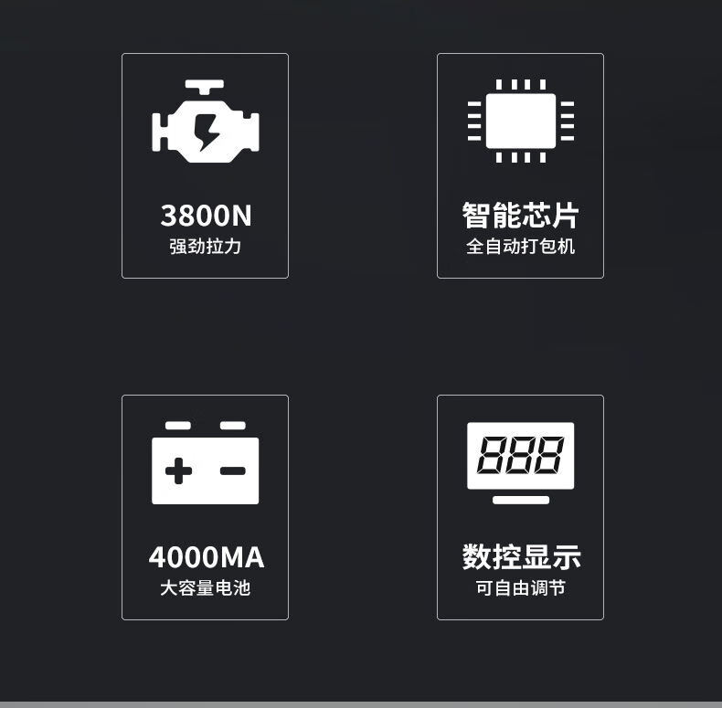 揚(yáng)子電動打包機(jī)A001(圖2)